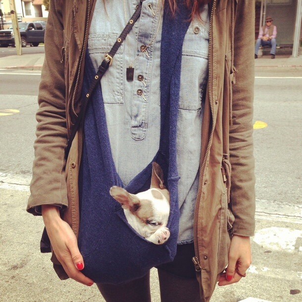 Heartpup Dog Sling