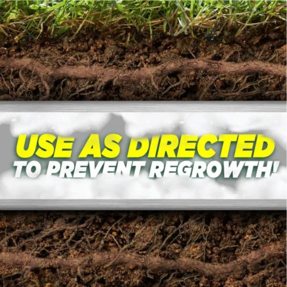 10Lb Foaming Root Killer Prevent Clogs in Sewer Pipes Dehydrates Dissolve Roots