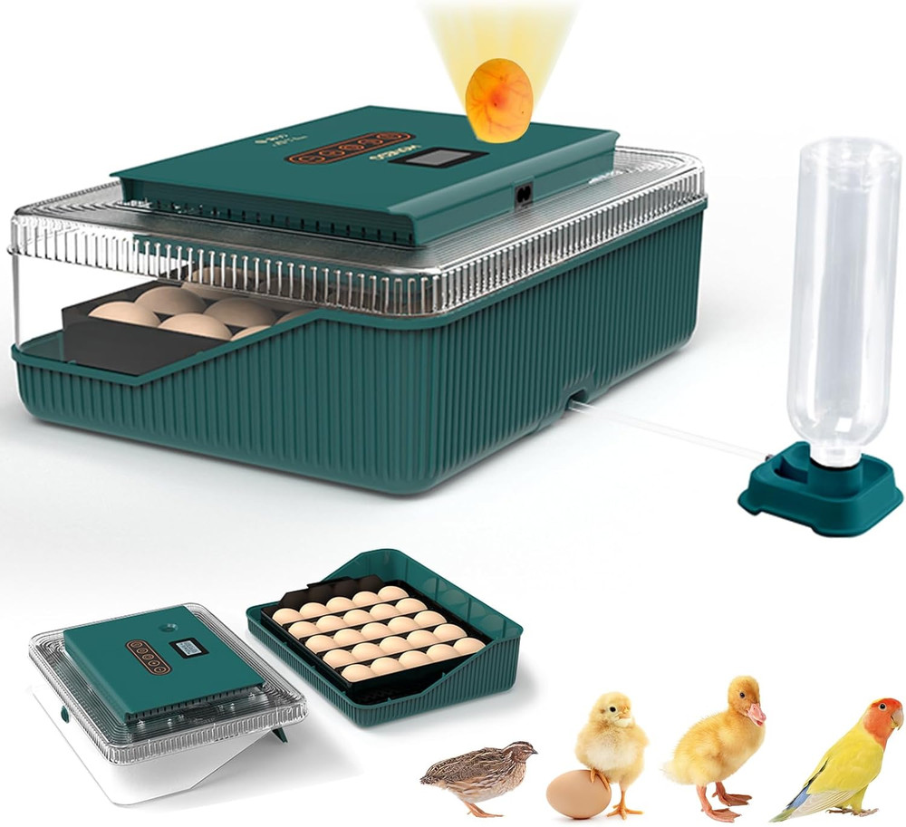 25 Eggs Incubator, Incubators for Hatching Eggs, with Automatic Egg Turning and