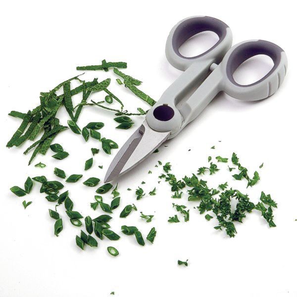 Multi-Purpose Kitchen Snips