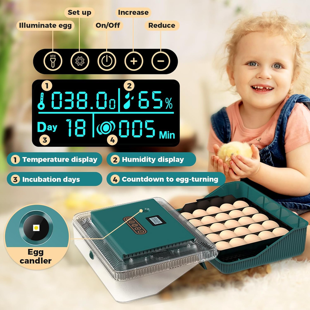 25 Eggs Incubator, Incubators for Hatching Eggs, with Automatic Egg Turning and