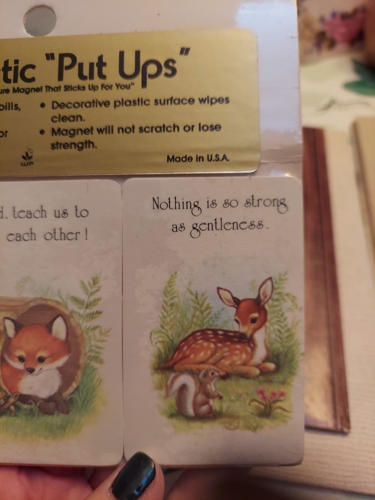 VINTAGE ~Magnetic "PUT UPS"