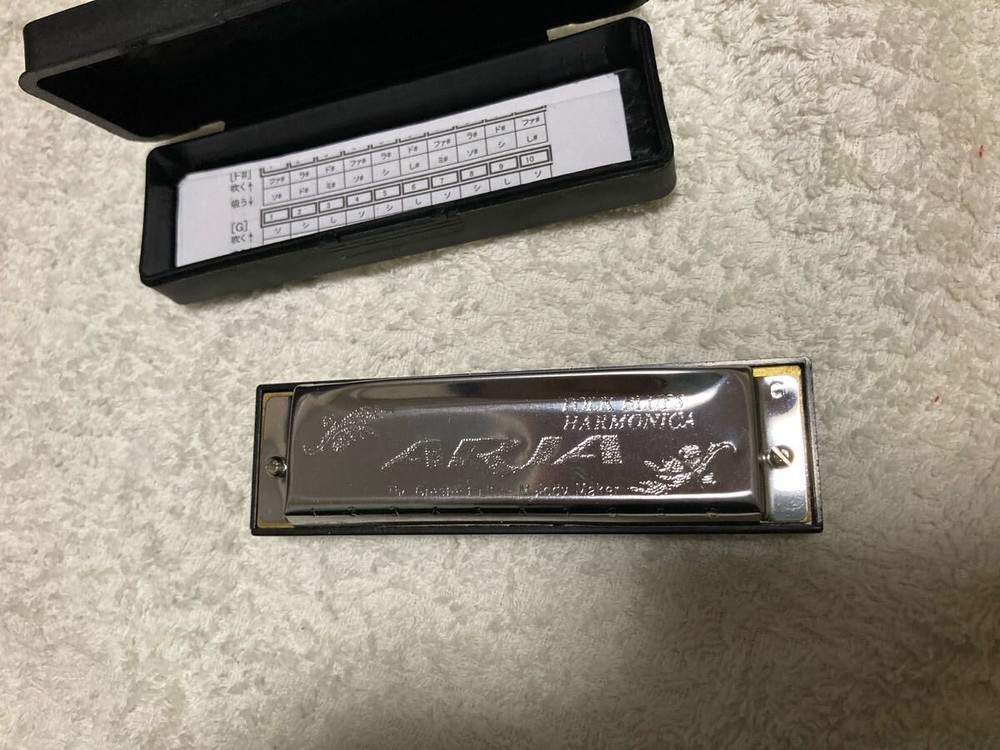 Harmonica 2 Piece Set