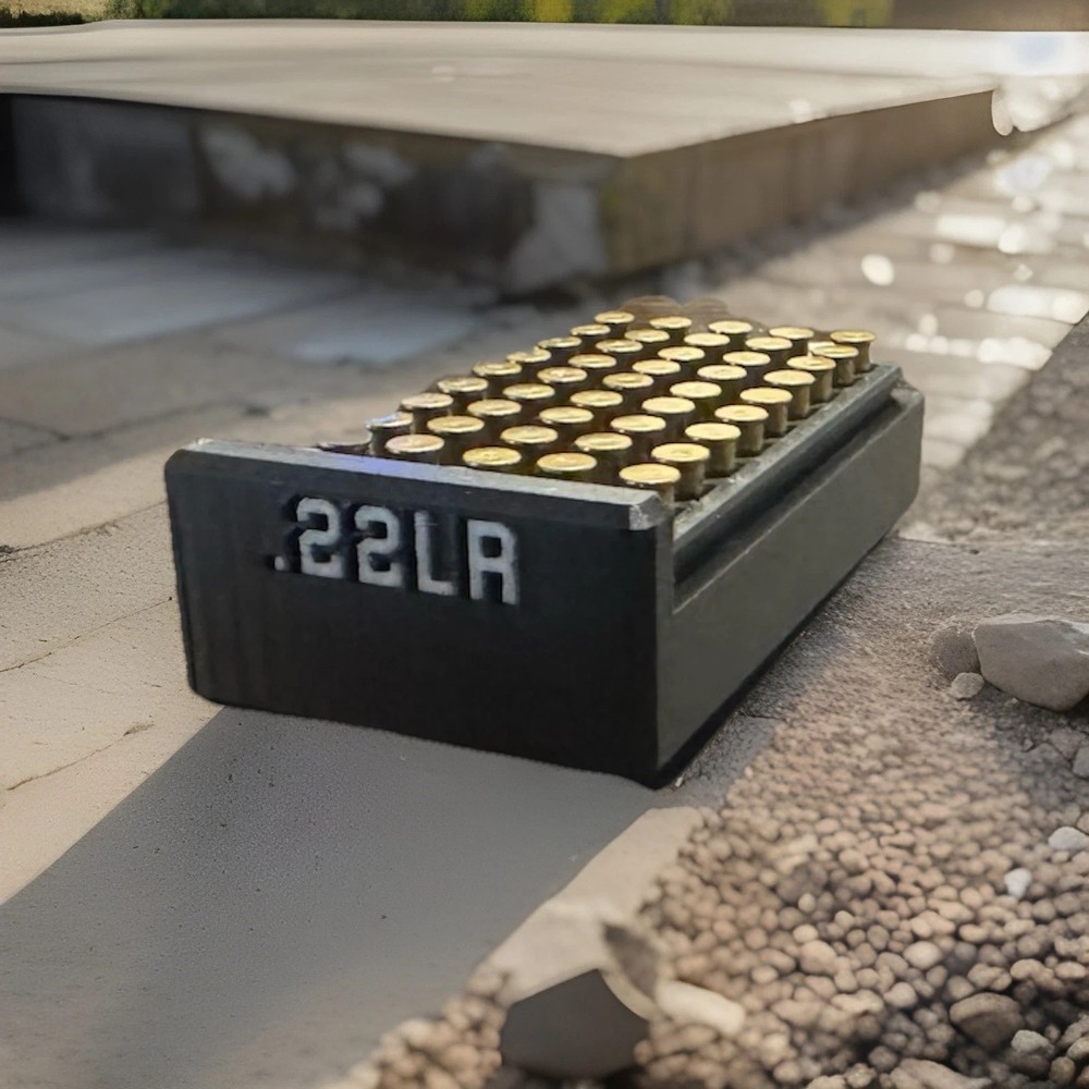 22LR Ammo Storage Box - Multiple Sizes & Colors
