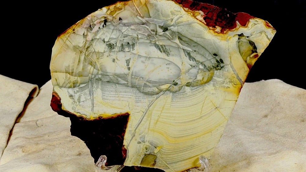 Willow Creek Jasper Slab, Lot #194