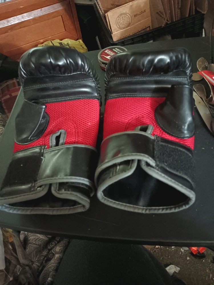 Size 7 Everlast Gloves