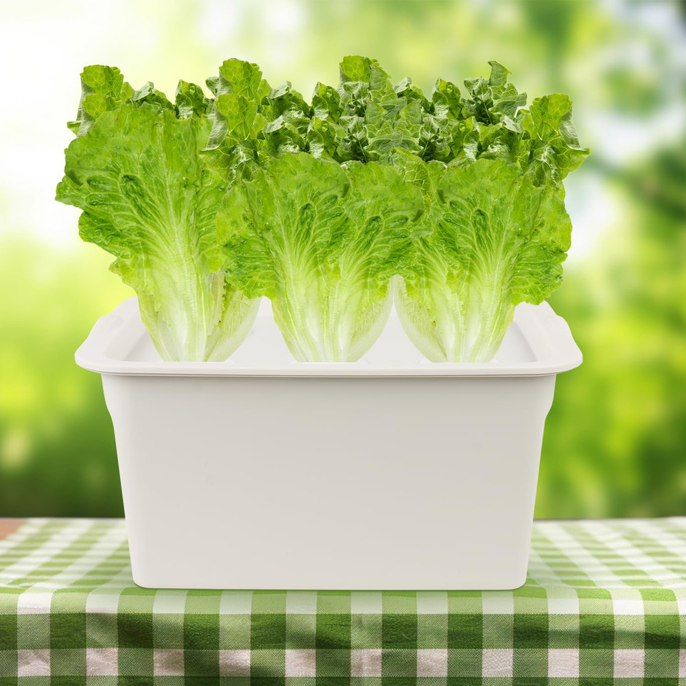 Hydroponics Grower Kit DIY Self Watering Indoor Hydroponics Tools Hydroponic Sys