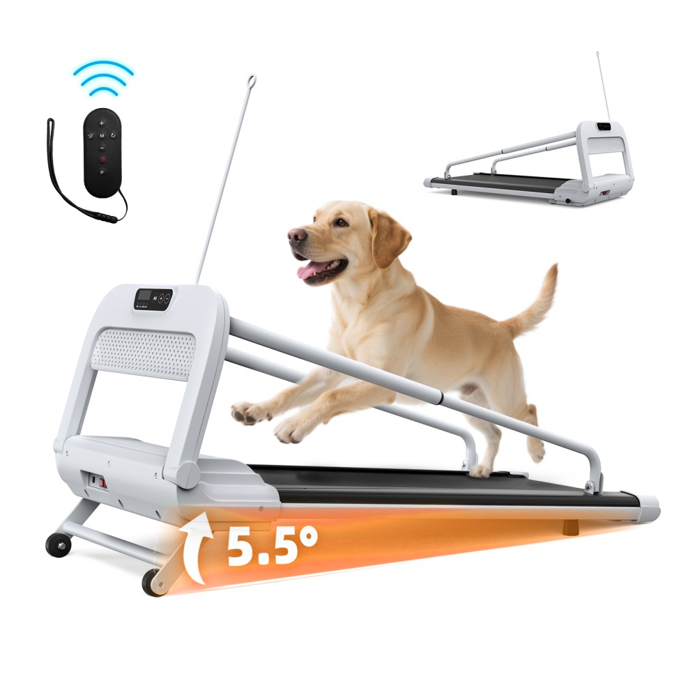 Quiet Smart Pet Treadmill W Adjustable Speed Perfect