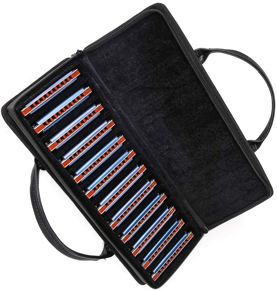EASTTOP Professional Diatonic Harmonica Set Harmonica Set 12 key blues harp Gift