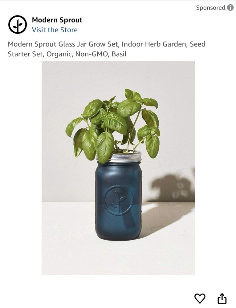 Modern Hydroponic Basil Grow Kit 6 Glass Jars