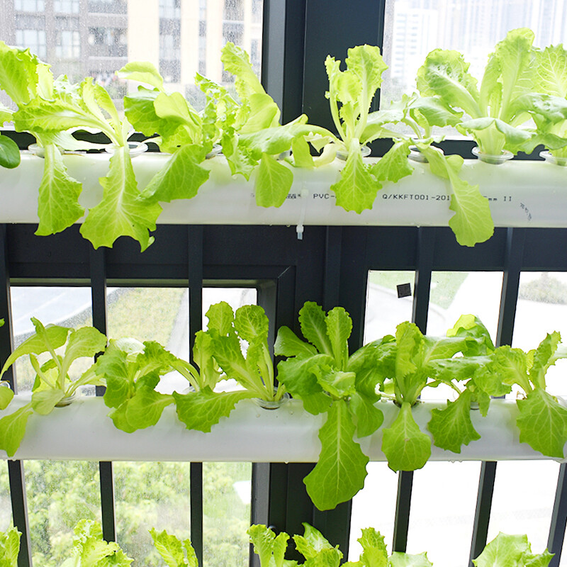 TECHTONGDA Hydroponic 54 Plant Site Grow System Kit Wall-mounted 6 Pipes