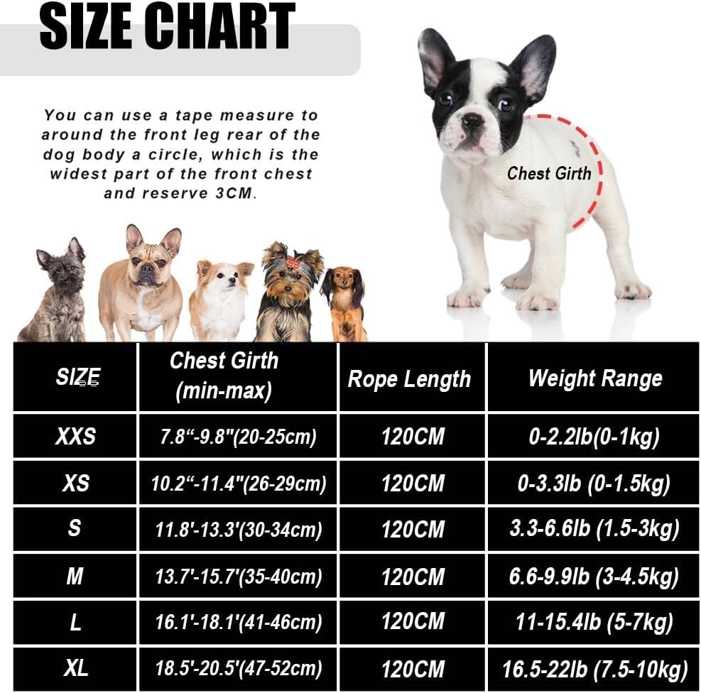 Dog Harness & Leash Set Walking Soft Mesh Adjustable Easy Control Lightweight