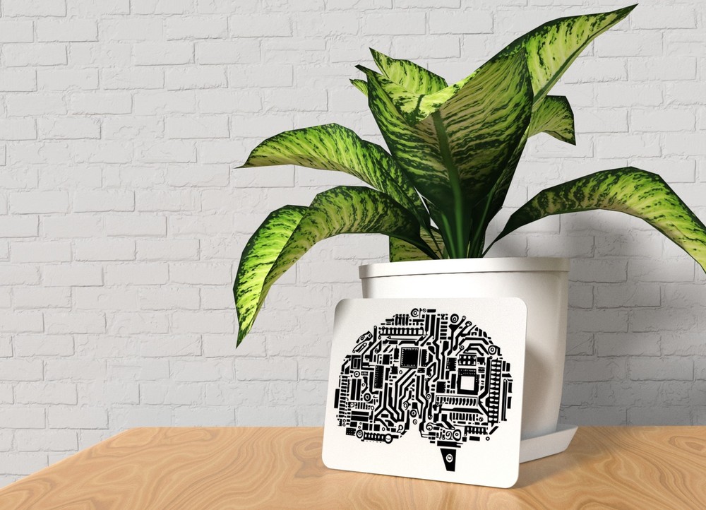 Brain Board | Funny Sign for Home or Office
