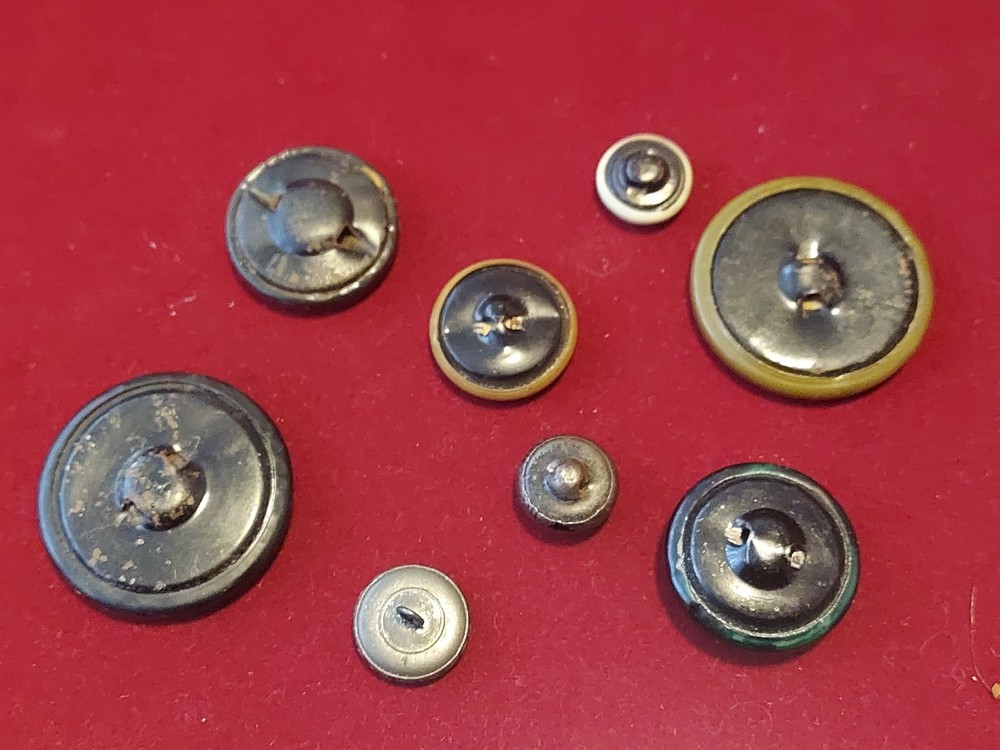 8 Vintage Celluloid Tight Top Shank Buttons