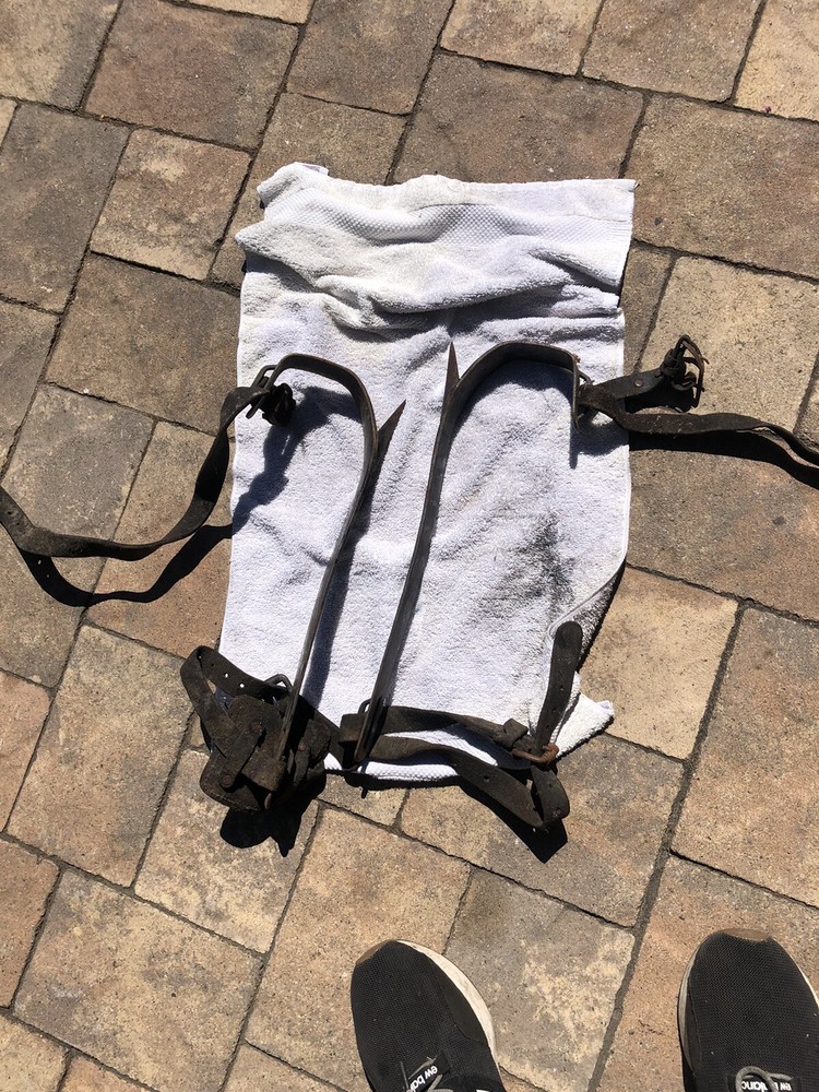 Buckingham 16M Tree Climbing Spikes Used