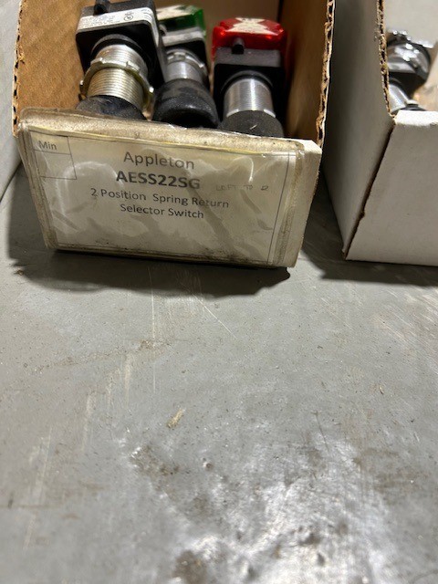 AESS22SG 2 POSITION SPRING RETURN