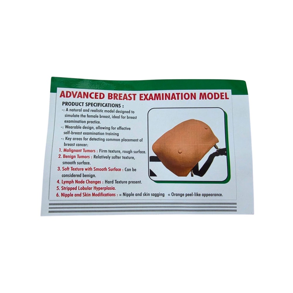 Advanced Breast Examination Model For Teaching Purpose