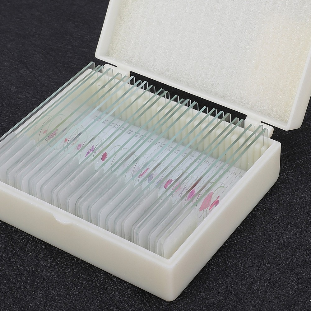 25Pcs Animal Slides Microscope Sample Slides For Science Education Popular