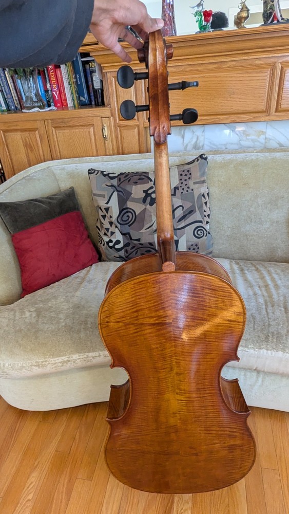 4/4 2012 Eastman Strings Cello