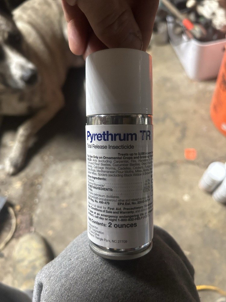 Pyrethrum TR Insecticide Controls Greenhouse Insects 2 oz Can by BASF