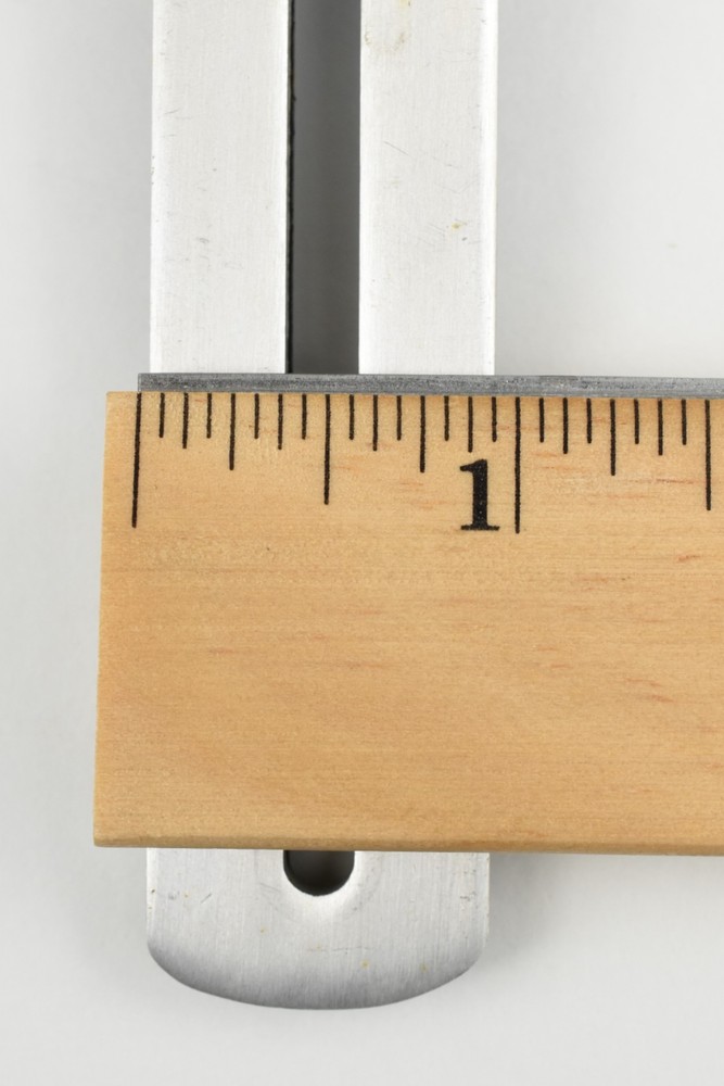 Nissin Digislave Flash Version 1.5