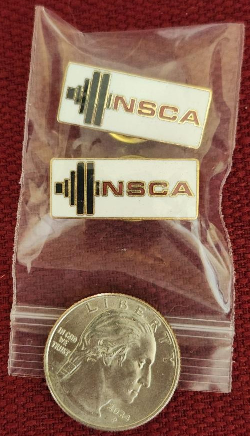 INSCA LOGO DESIGN COMPANY LOGO LAPEL PIN