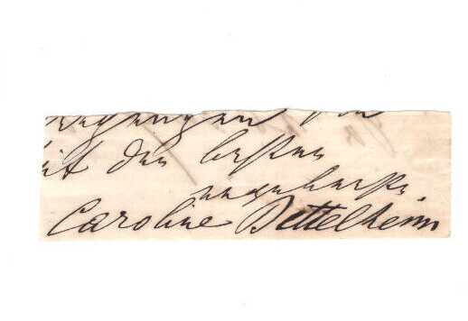 Caroline von Gomperz-Bettelheim (1845-1925) Signed Clip / Autographed Opera