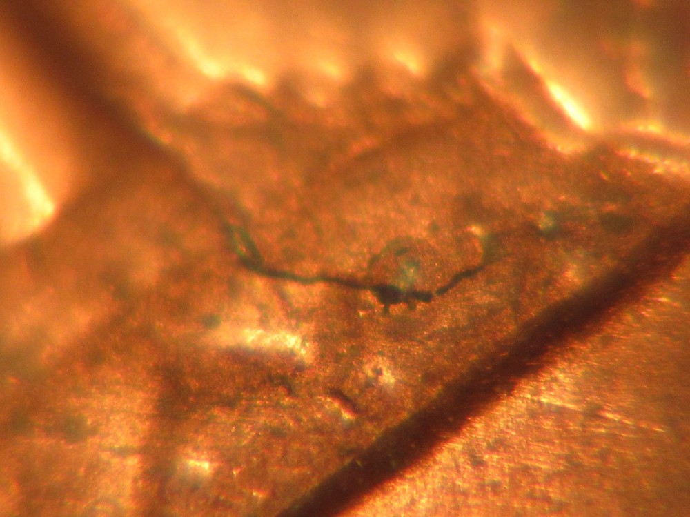1984 P Lincoln Penny with Reverse Die Crack Error