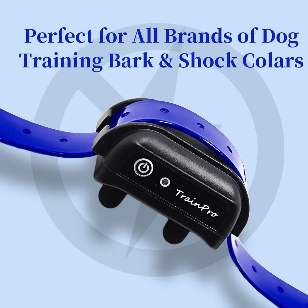 27 ½” X ¾” Replacement Dog Collar Strap Band with Double Buckle Loop for All ...