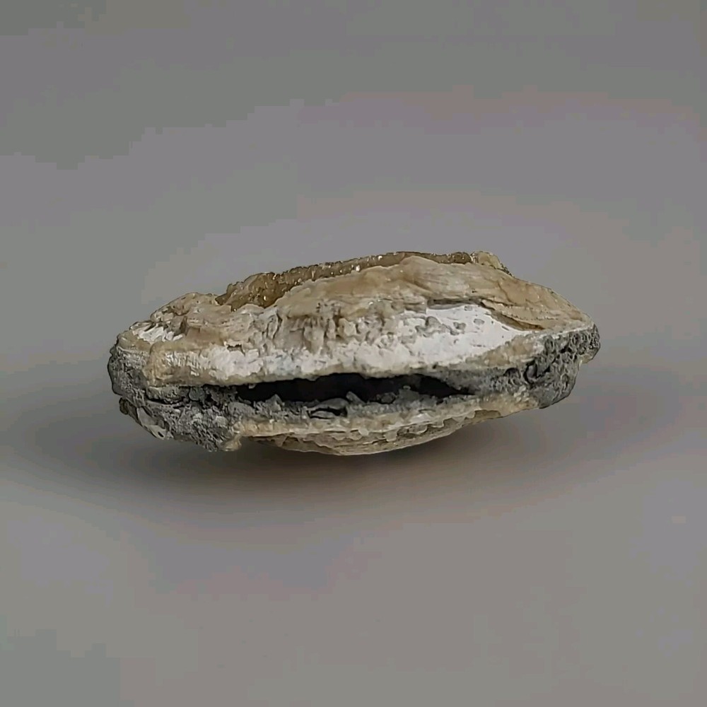 5" X 3" Geode 1 Lb 12 Oz