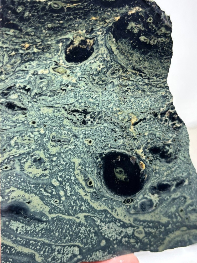 Kambaba Jasper Stromatolite Slab Lapidary Cabbing Combo Ship Avail