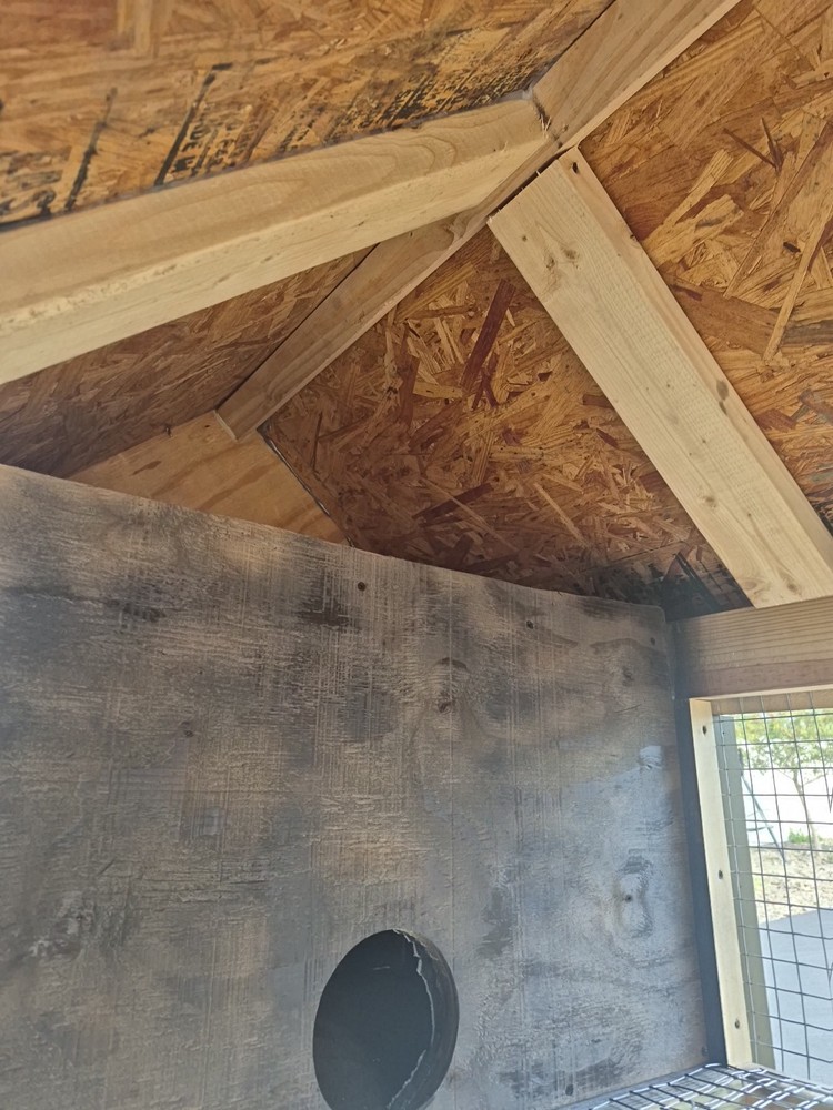 Quail Coop, Rabbit Hutch