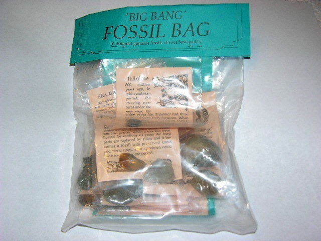 Fossil kit educational w/10 different fossils info & geological time card plus