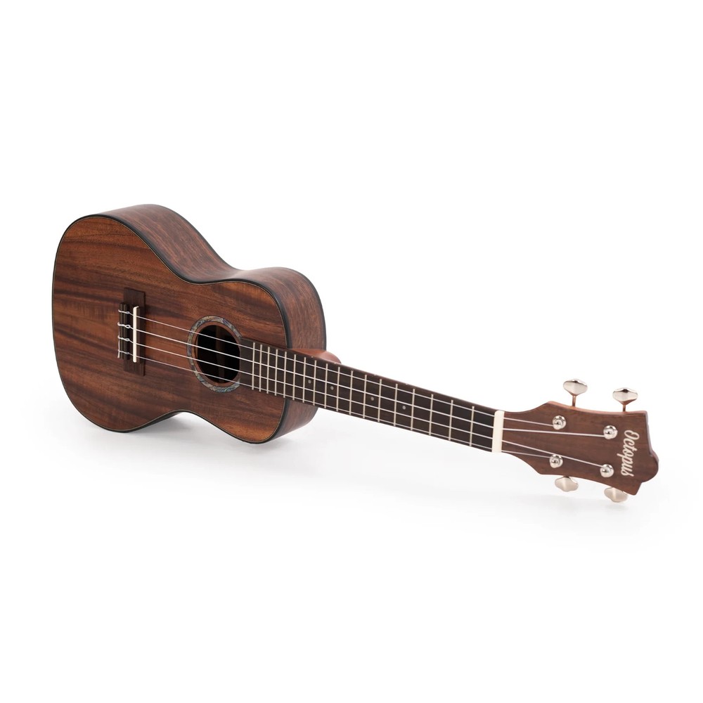 Octopus All solid acacia concert ukulele