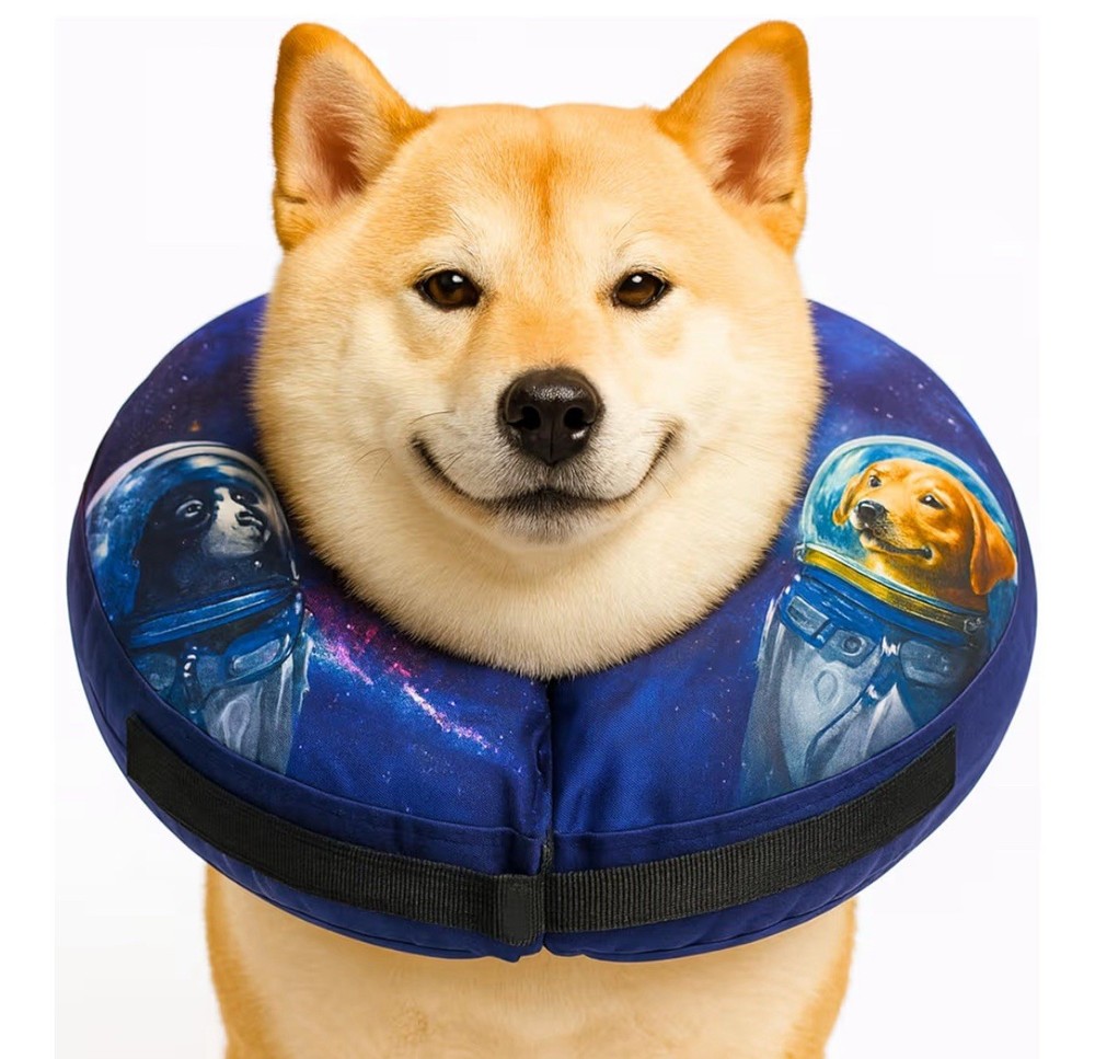 Soft Inflatable Dog Cone | After Surgery Comfortable Donut with E-Collar | Large