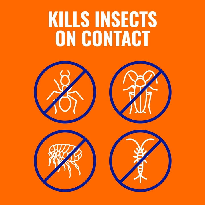 TERRO 3 lb Ant Killer Plus Multi-Purpose Insect Control