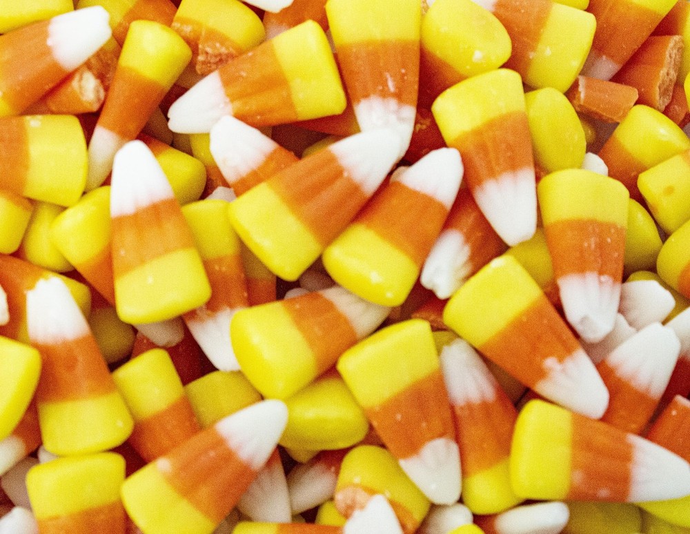 Candy Corn-2 lbs of Fresh Chewy Fall Halloween