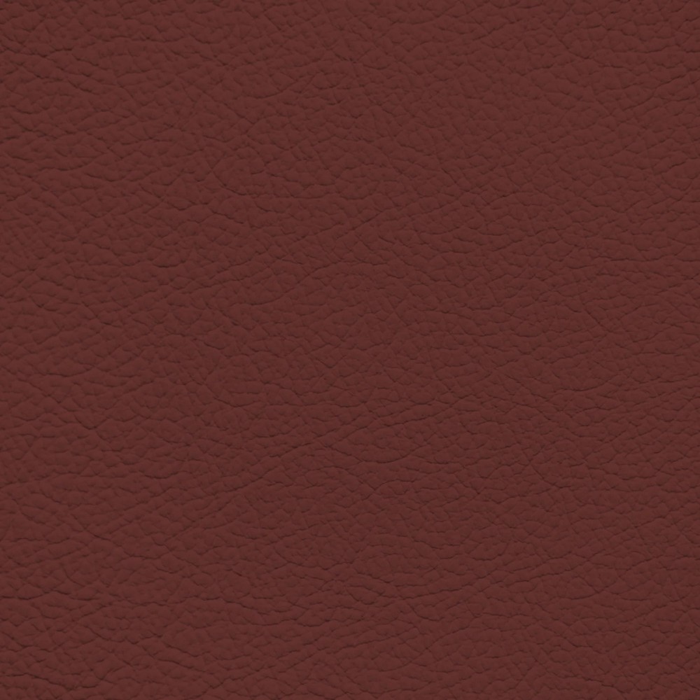 BMW Chateau Leather Dye