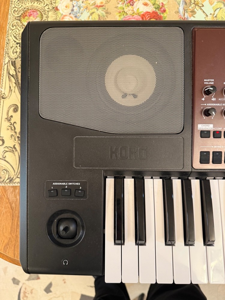 Korg PA700 61 Key Arranger Keyboard
