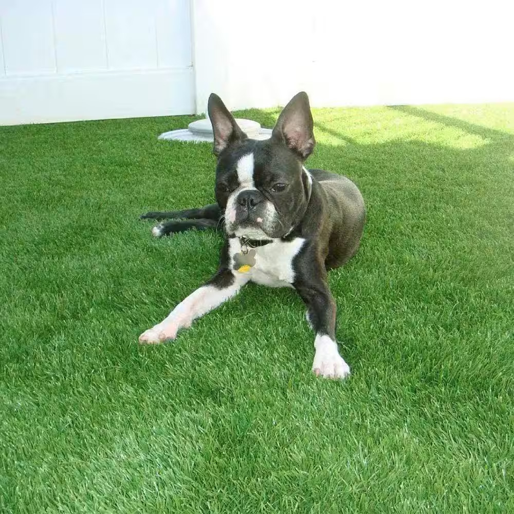 6.6 Ft. X 13 Ft. Green Artificial Grass Sod