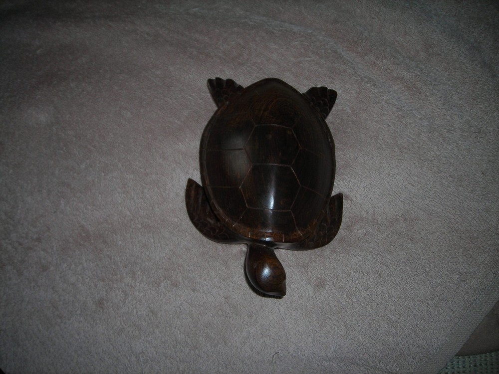 TURTLE RESIN?, IRONWOOD?