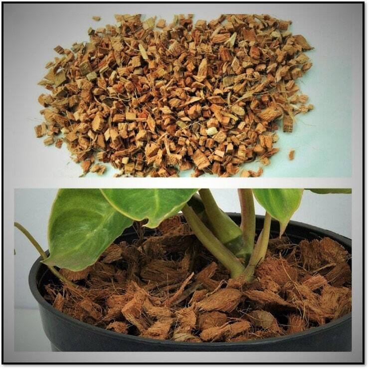 Coconut Husk Chips Orchids Anthodium Growing Medium Free Shipping