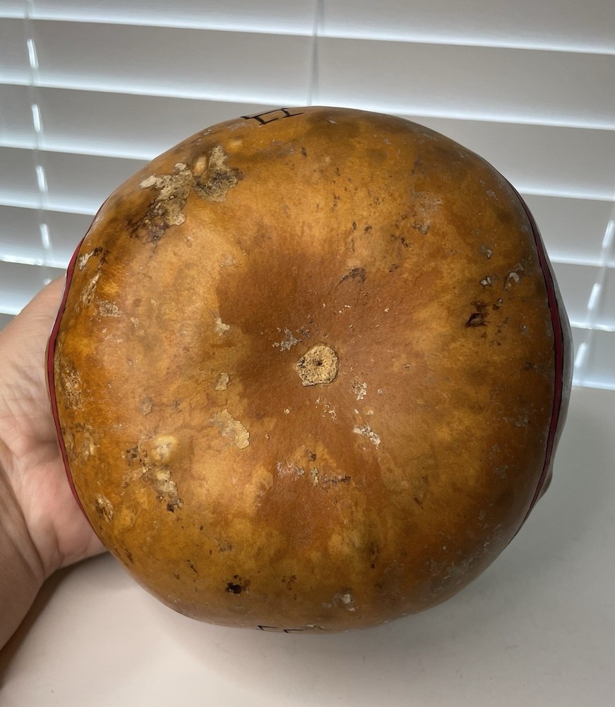 Hand Crafted Decorative Gourd Vessel Southwest Inspired Patterns