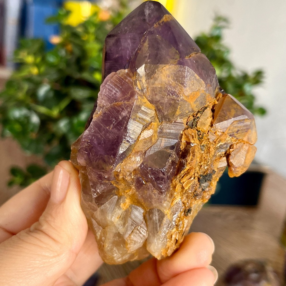 336g Natural Amethyst geode quartz clustercrystal specimen Healing