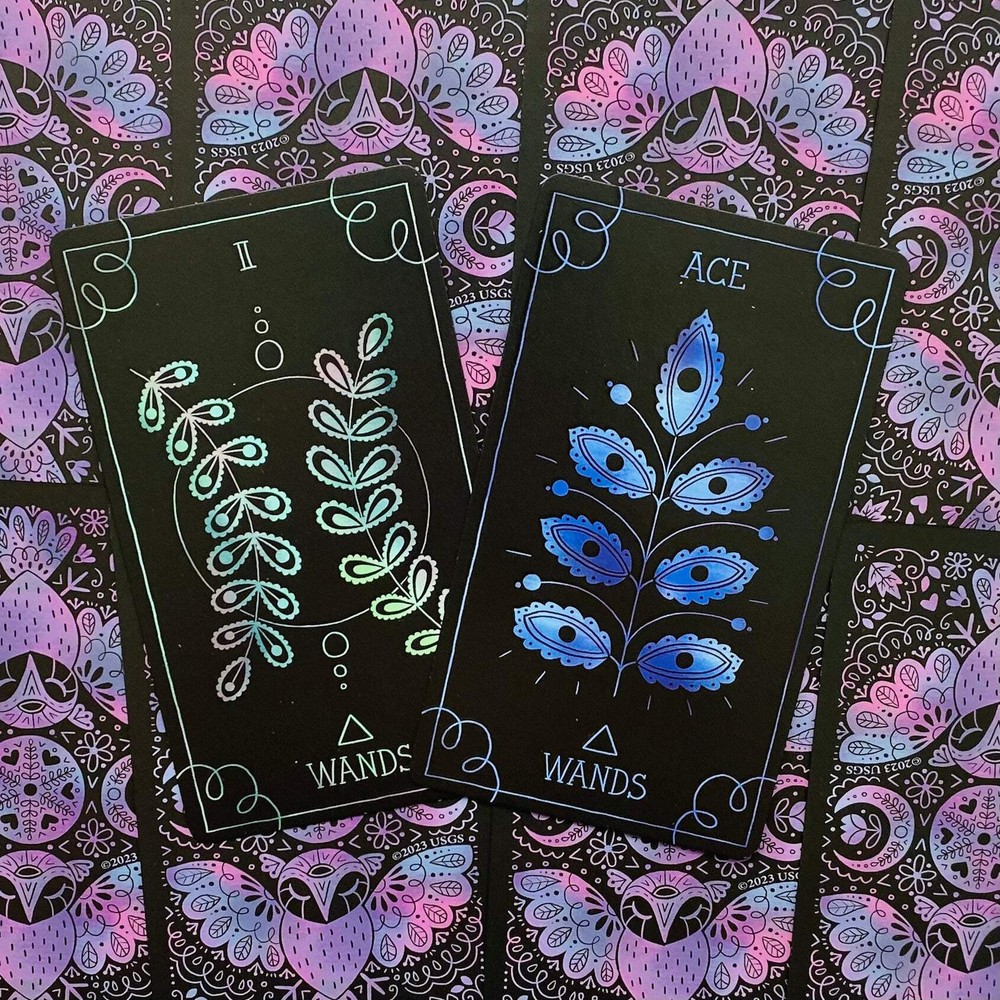 Folklore Tarot Card Deck & Guide Rowan Ortins US GAMES SYSTEMS NEW