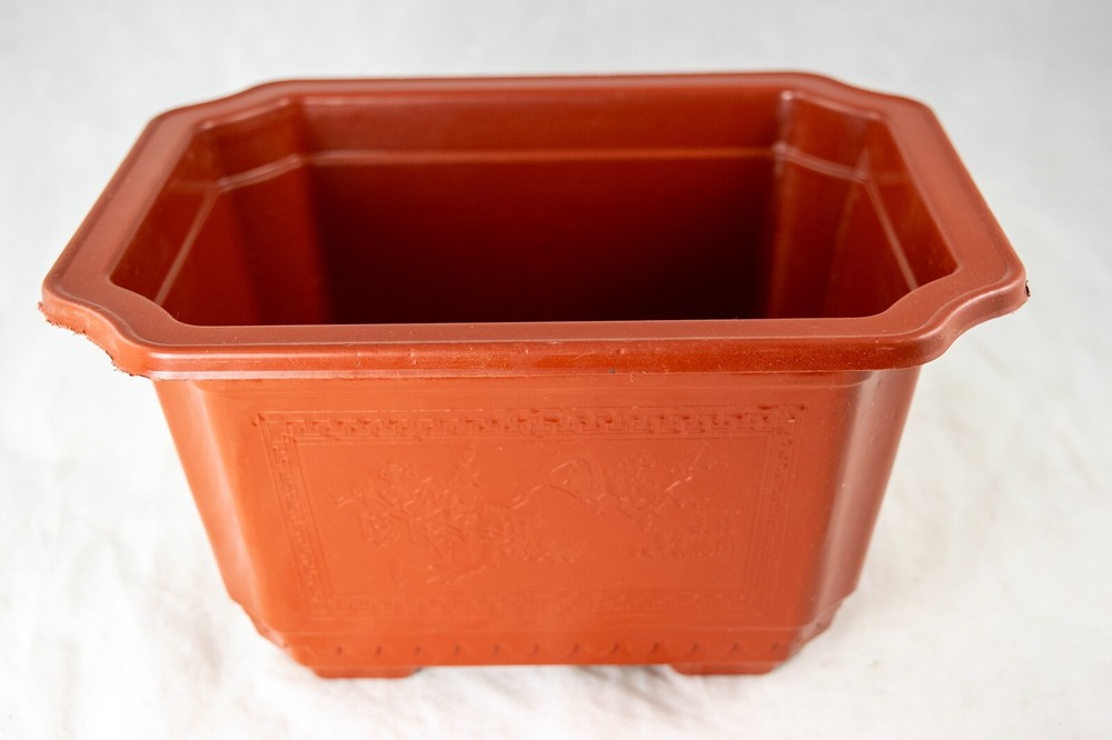 Rectangular Plastic Cactus & Succulent, Bonsai Training Tall Pot 7.25" to 17.5"