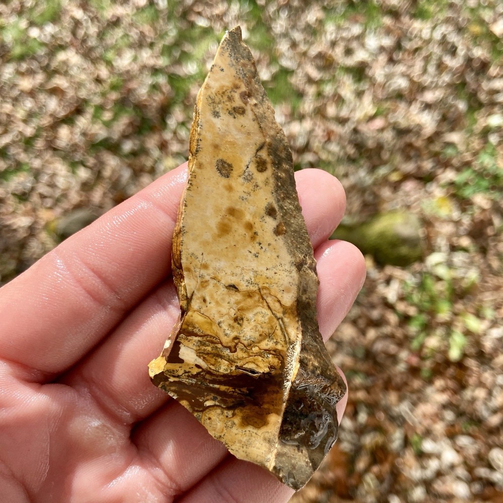 Unique Picture Jasper Rough Slab 1.07 Oz