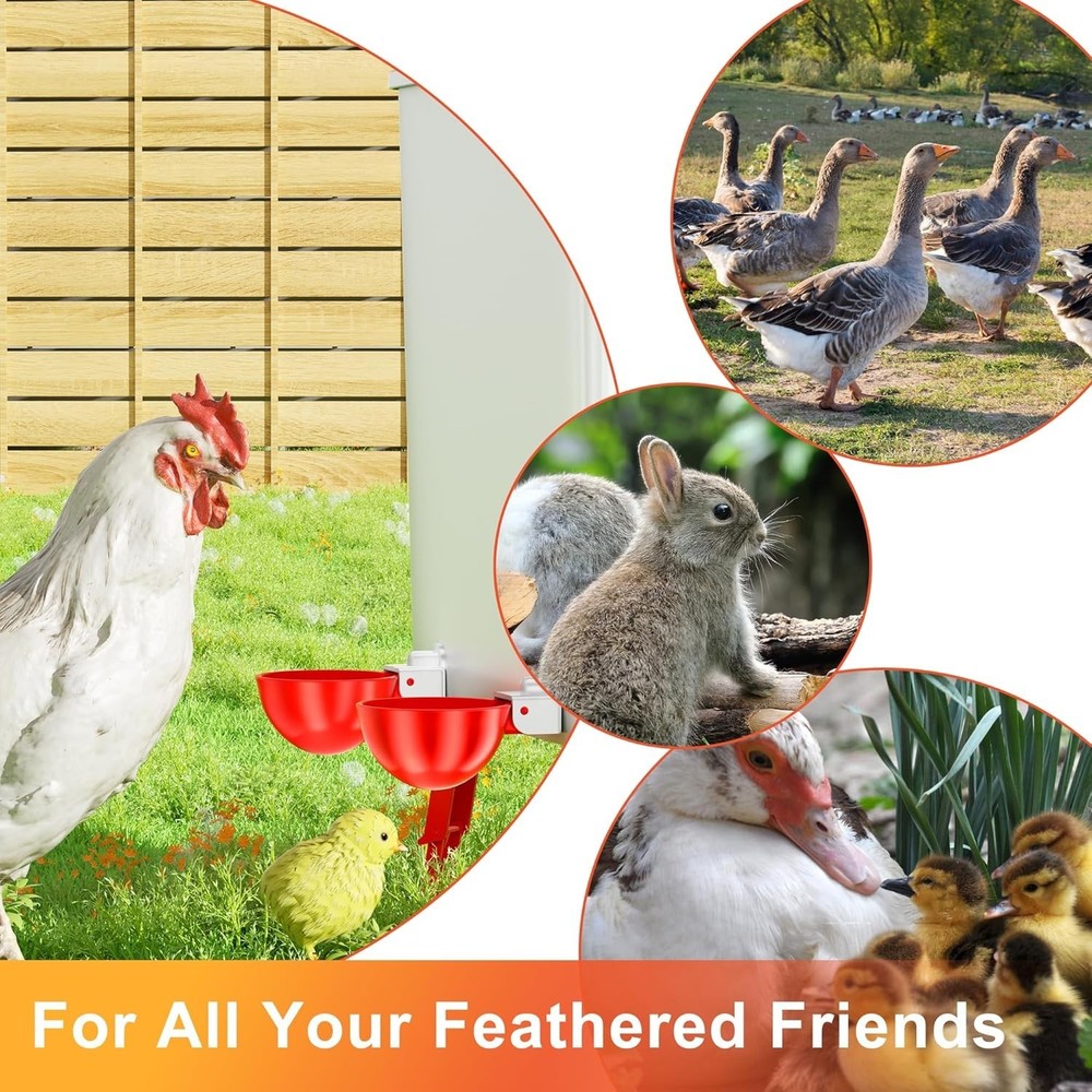High-Quality Automatic Poultry Waterer Cups - 6 Count with Quick Install Kit