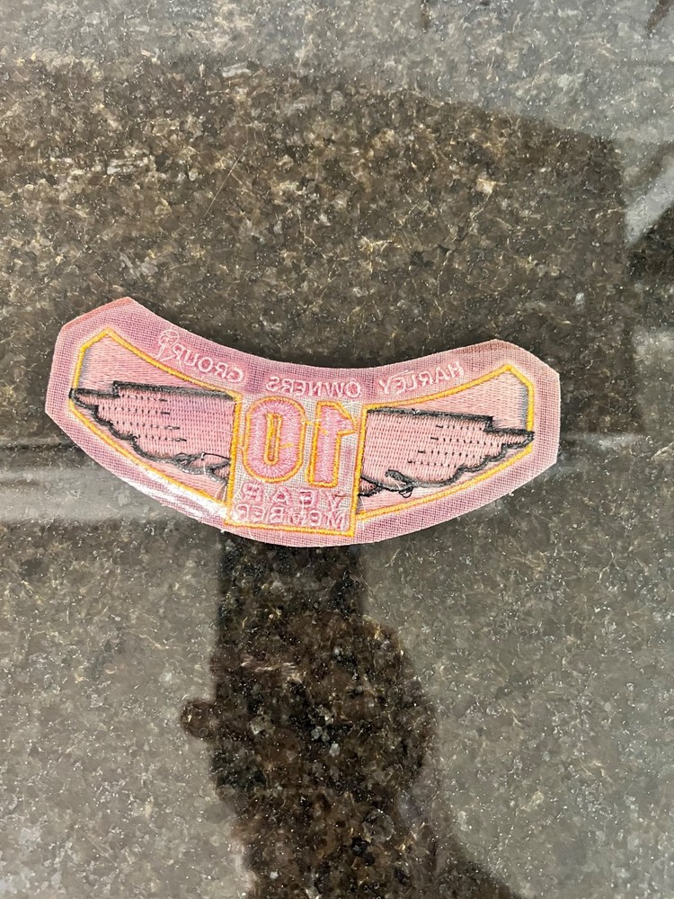 Harley Davidson Owners Group Biker Patch 10 Year Member Iron On Patch