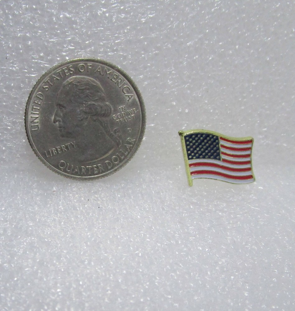 United States Flag Pin
